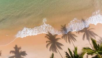 empty abstract sand beach with palm leaf shadow and transparent water wave from above, blank background banner for travel, vacation and wellbeing with copy space. top of views, aerial views. photo
