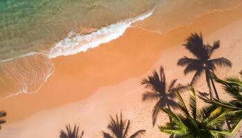 empty abstract sand beach with palm leaf shadow and transparent water wave from above, blank background banner for travel, vacation and wellbeing with copy space. top of views, aerial views. photo