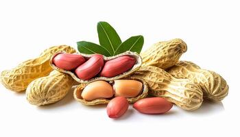Peanut nuts isolated, peanut seeds isolate, white background, peanut nut isolated on white photo