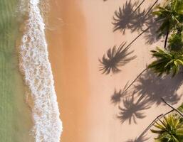empty abstract sand beach with palm leaf shadow and transparent water wave from above, blank background banner for travel, vacation and wellbeing with copy space. top of views, aerial views. photo