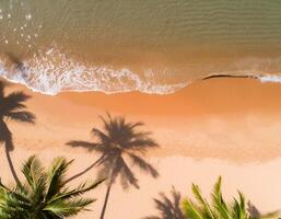 empty abstract sand beach with palm leaf shadow and transparent water wave from above, blank background banner for travel, vacation and wellbeing with copy space. top of views, aerial views. photo