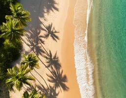 empty abstract sand beach with palm leaf shadow and transparent water wave from above, blank background banner for travel, vacation and wellbeing with copy space. top of views, aerial views. photo