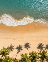 empty abstract sand beach with palm leaf shadow and transparent water wave from above, blank background banner for travel, vacation and wellbeing with copy space. top of views, aerial views. photo