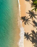 empty abstract sand beach with palm leaf shadow and transparent water wave from above, blank background banner for travel, vacation and wellbeing with copy space. top of views, aerial views. photo