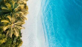 empty abstract sand beach with palm leaf shadow and transparent water wave from above, blank background banner for travel, vacation and wellbeing with copy space. top of views, aerial views. photo