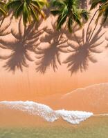 empty abstract sand beach with palm leaf shadow and transparent water wave from above, blank background banner for travel, vacation and wellbeing with copy space. top of views, aerial views. photo
