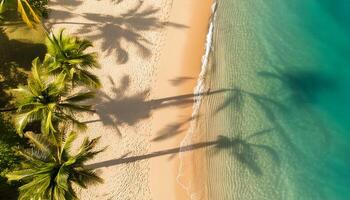 empty abstract sand beach with palm leaf shadow and transparent water wave from above, blank background banner for travel, vacation and wellbeing with copy space. top of views, aerial views. photo