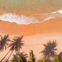empty abstract sand beach with palm leaf shadow and transparent water wave from above, blank background banner for travel, vacation and wellbeing with copy space. top of views, aerial views. photo