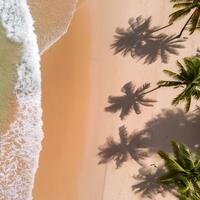 empty abstract sand beach with palm leaf shadow and transparent water wave from above, blank background banner for travel, vacation and wellbeing with copy space. top of views, aerial views. photo