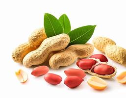 Peanut nuts isolated, peanut seeds isolate, white background, peanut nut isolated on white photo