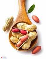 Peanut nuts isolated, peanut seeds isolate, white background, peanut nut isolated on white photo
