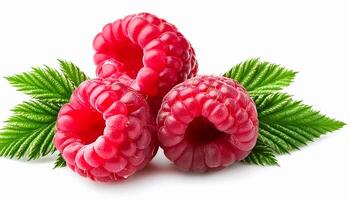 Creative food concept. Fresh a pile of Berry raspberry. top of view photo