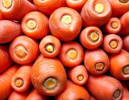 PHOTO OF fresh carrots