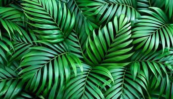 Green tropical forest. Pattern Texture Background. photo