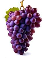 Fresh and ripe grapes isolated on white background photo