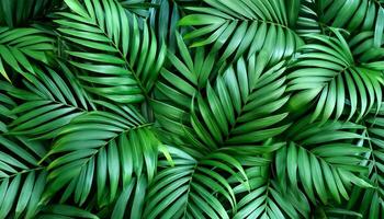 Green tropical forest. Pattern Texture Background. photo