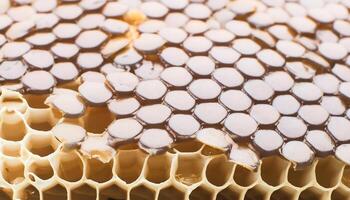 Full frame background Sweet honey. Honeycombs with sweet golden honey on whole background, close up. Background texture and pattern of section of wax honeycomb. flat lay. top of views photo