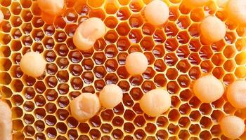 Full frame background Sweet honey. Honeycombs with sweet golden honey on whole background, close up. Background texture and pattern of section of wax honeycomb. flat lay. top of views photo