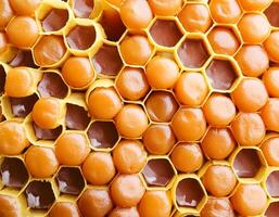 Full frame background Sweet honey. Honeycombs with sweet golden honey on whole background, close up. Background texture and pattern of section of wax honeycomb. flat lay. top of views photo