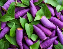 Full frame background Purple sweet yam. Creative layout of Purple sweet yam background, close up. flat lay. top of views photo