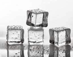 Drink concept cubed ice photo