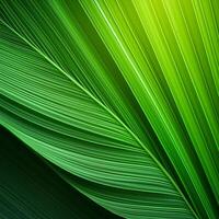 Green texture of tree leaf. Nature background. Nature leaves, green tropical forest, backgound concept photo