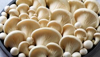 Fresh beech mushroom photo