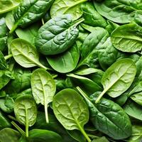 a Spinach leaf photo