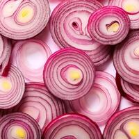 red onion slices. photo