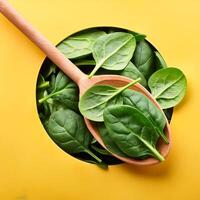 a Spinach leaf photo