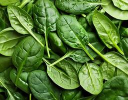 a Spinach leaf photo