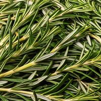 photo of rosemary from above. pattern texture background.