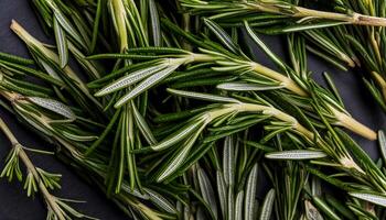 photo of rosemary from above. pattern texture background.