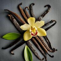 photo of Vanilla flower and pods with leaves from above. pattern texture background.