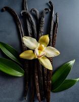 photo of Vanilla flower and pods with leaves from above. pattern texture background.