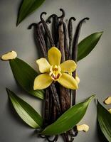 photo of Vanilla flower and pods with leaves from above. pattern texture background.