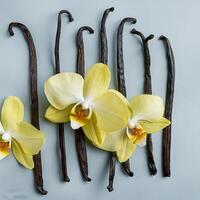 photo of Vanilla flower and pods with leaves from above. pattern texture background.