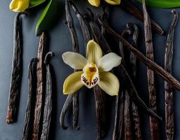 photo of Vanilla flower and pods with leaves from above. pattern texture background.