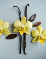 photo of Vanilla flower and pods with leaves from above. pattern texture background.