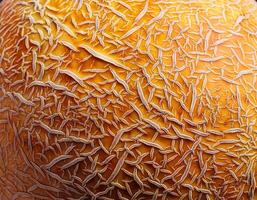 A close-up photo of a ripe melon. Pattern texture background