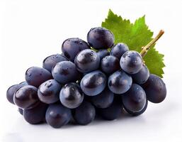 Fresh Black Grapes Isolated on White Background photo