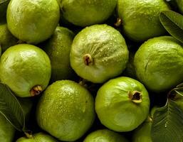 close up a pile of close-up guava fruit fresh, organic. photo