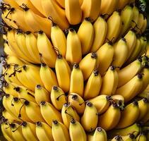fresh banana fruit. photo