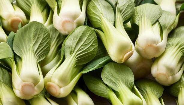 Bok choy or Pak choi Chinese cabbage pattern texture background photo