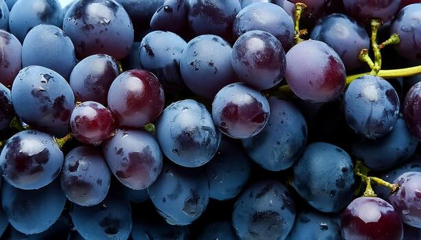 Close up of grapes. pattern texture background photo