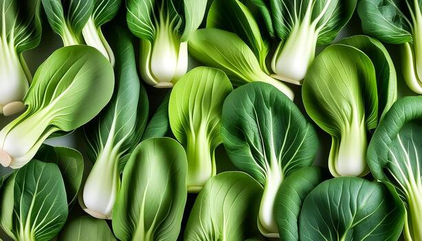 Bok choy or Pak choi Chinese cabbage pattern texture background photo