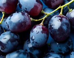 Close up of grapes. pattern texture background photo
