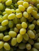 close up a pile of close-up green grapes fruit fresh, organic. photo
