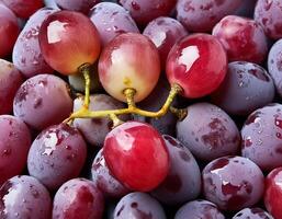 Close up of grapes. photo