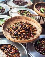 Strange food of Thai people- roasted insects. pattern texture background photo